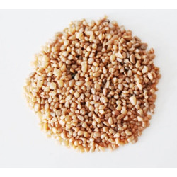 MM Grit / SAND - THICK 2-3 mm SALMON (157)