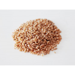 MM Grit / SAND - THICK 2-3 mm SALMON (157)