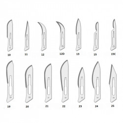 CHRISTMAS SHARPS No. 25 (...