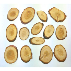 ŘEZANÝ STROM - MODŘÍN (HM)