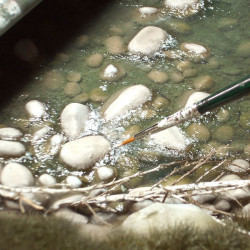 AK 8007 VODNÍ GELOVÉ EFEKTY 100ml