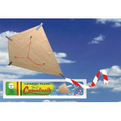 CUMULUS KITE ( ART - MODEL )