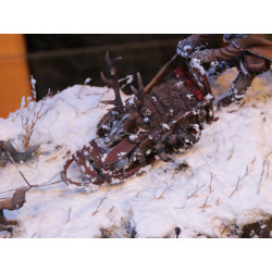 MM MODEL SNOW FOR MOCK-UP DIORAMAS (133)