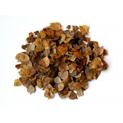 MM LEAVES - LINDEN LEAVES...