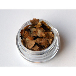 MM LISTY - LIPOVÉ LISTY (721)