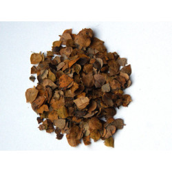 MM LISTY - LIPOVÉ LISTY (721)