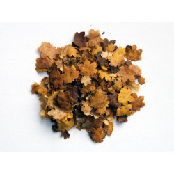 MM LEAVES - MAPLE LEAVES (701)