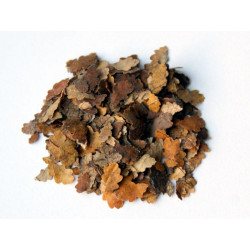 MM LEAVES - OAK LEAVES (711)