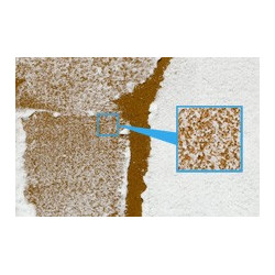 TAMIYA TEXTURNÍ BARVA - SNĚHOVÝ EFEKT (87119)