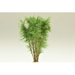 POLAK 9511 MULTIPLE TREE...