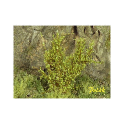 POLAK 9271 KRZEWY WYSOKIE...