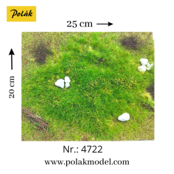 POLAK 4722 DZIKA ŁĄKA Z...