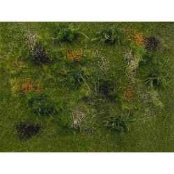 POLAK 9817 LEASNA TRAWA...