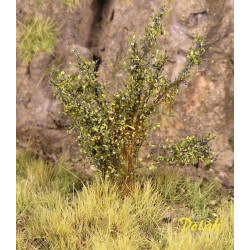 POLAK 9298 HIGH CIRNISTE CROPS (3 pieces)