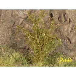 POLAK 9221 HIGHLIGHTS SAVANNA GREENS (3 pieces)