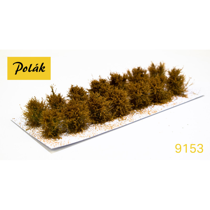 POLAK 9153 OCHRA LOW FLOWER CROPS (2 pieces)