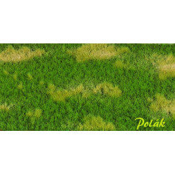 POLAK 4701 DZIKA ŁĄKA...