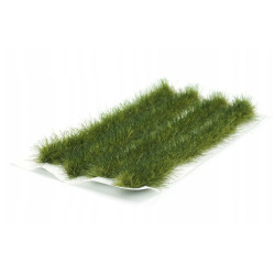 RS ZBOŻE ZIELONE PASKI 1...