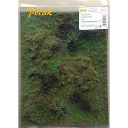 POLAK 9818 LEŚNA TRAWA...