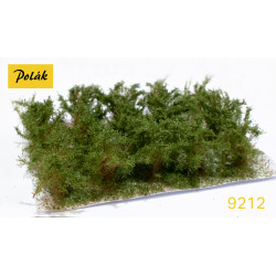 POLAK 9212 KRZEWY WYSOKIE...