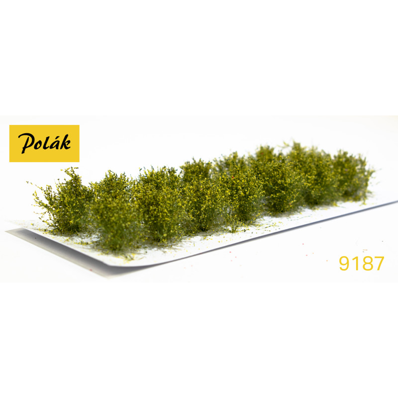 POLAK 9187 NÍZKOKVĚTÝ KROK žlutý ( 2 kusy )