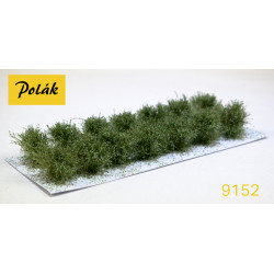 POLAK 9152 LOWER SHrubs...