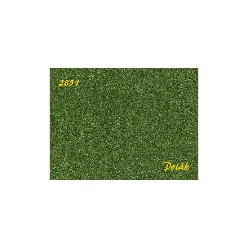 POLAK 2851 NATUREX F měkký zelený buk 50 ml