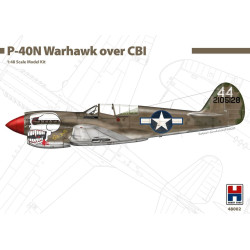 HOBBY 2000 P-40N WARHAWK...
