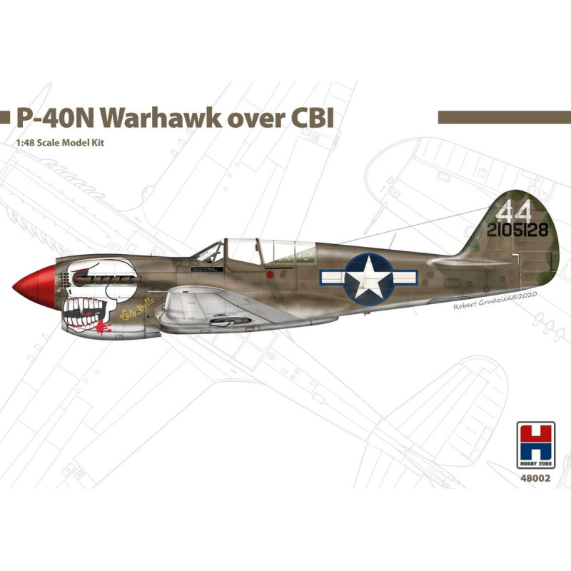 HOBBY 2000 1/48 P-40N WARHAWK OVER CBI   (48002)