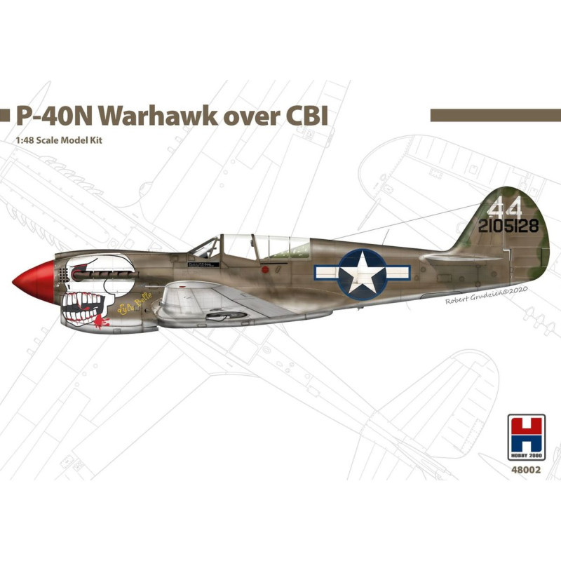 HOBBY 2000 P-40N WARHAWK OVER CBI /      CHINA, BURMA, INDIA (48002)