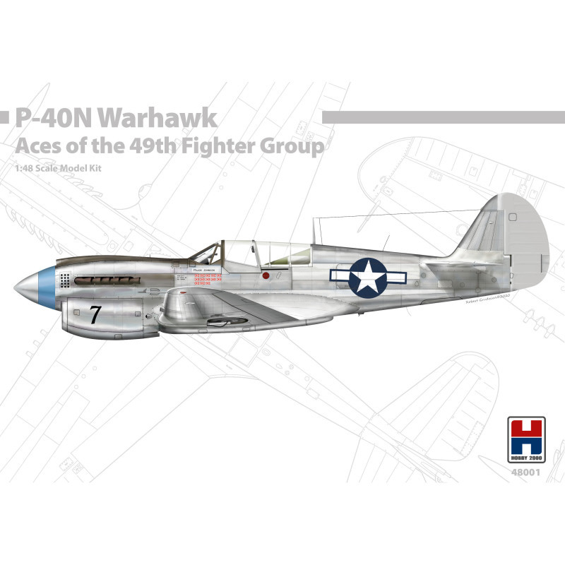 HOBBY 2000 1/48 P-40N WARHAWK ACE of THE 49TH FIGHTER GROUP (48001)