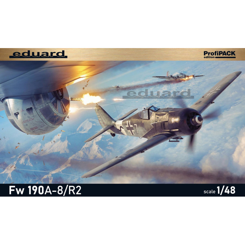 EDUARD 1/48 FOCKE-WULF Fw 190A-8/R2      (82145)