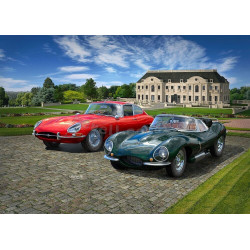 REVELL 1/24 JAGUAR 100th ANNIVERSARY &   E-TYPE ZESTAW (05667) SET