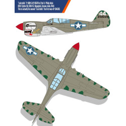 ACADEMY 1/48 USAAF P-40N (12341) "Bitva o Imphal"