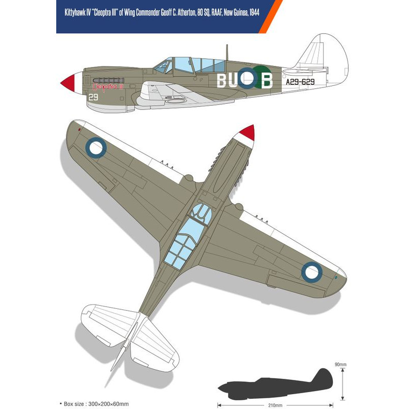 ACADEMY 1/48 USAAF P-40N (12341) "Bitva o Imphal"