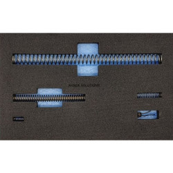 RS TPC Springs for CZ...