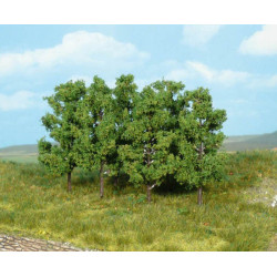 HEKI 1999 Alder Tree 8 cm (...