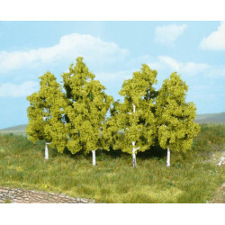 HEKI 1998 Birch Tree 8 cm (...