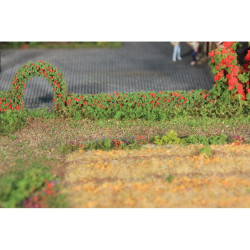 HEKI 11806 Rose bush hedge...