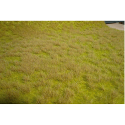 HEKI 1840 Grass Savannah...