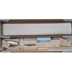 SZYBOWIEC FENIKS klasa F1 A/M  ( ART -   MODEL )