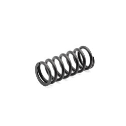 BERETTA Valve spring for...