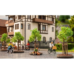 NOCH 21538 Saplings with...