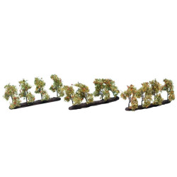 NOCH 21532 Plantation Trees with Apples / Fruit Trees / Apples - 3.5 cm / set of 12 pieces