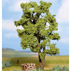 NOCH 21660 Acacia / Acacia...