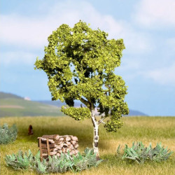 NOCH 21640 Birch / Drzewo...