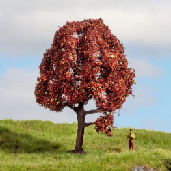 NOCH 20151 Copper Beech /...