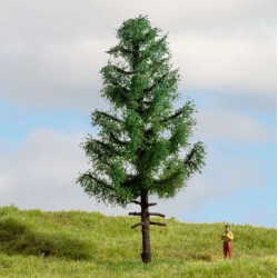 NOCH 20195 High Trunk Spuce...
