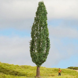 NOCH 20130 Poplar / Drzewo...