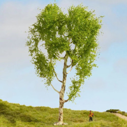 NOCH 20125 Downy Birch Tree...